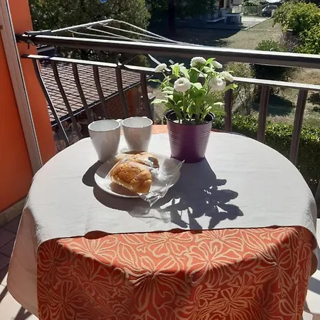 Sophia Apartamento